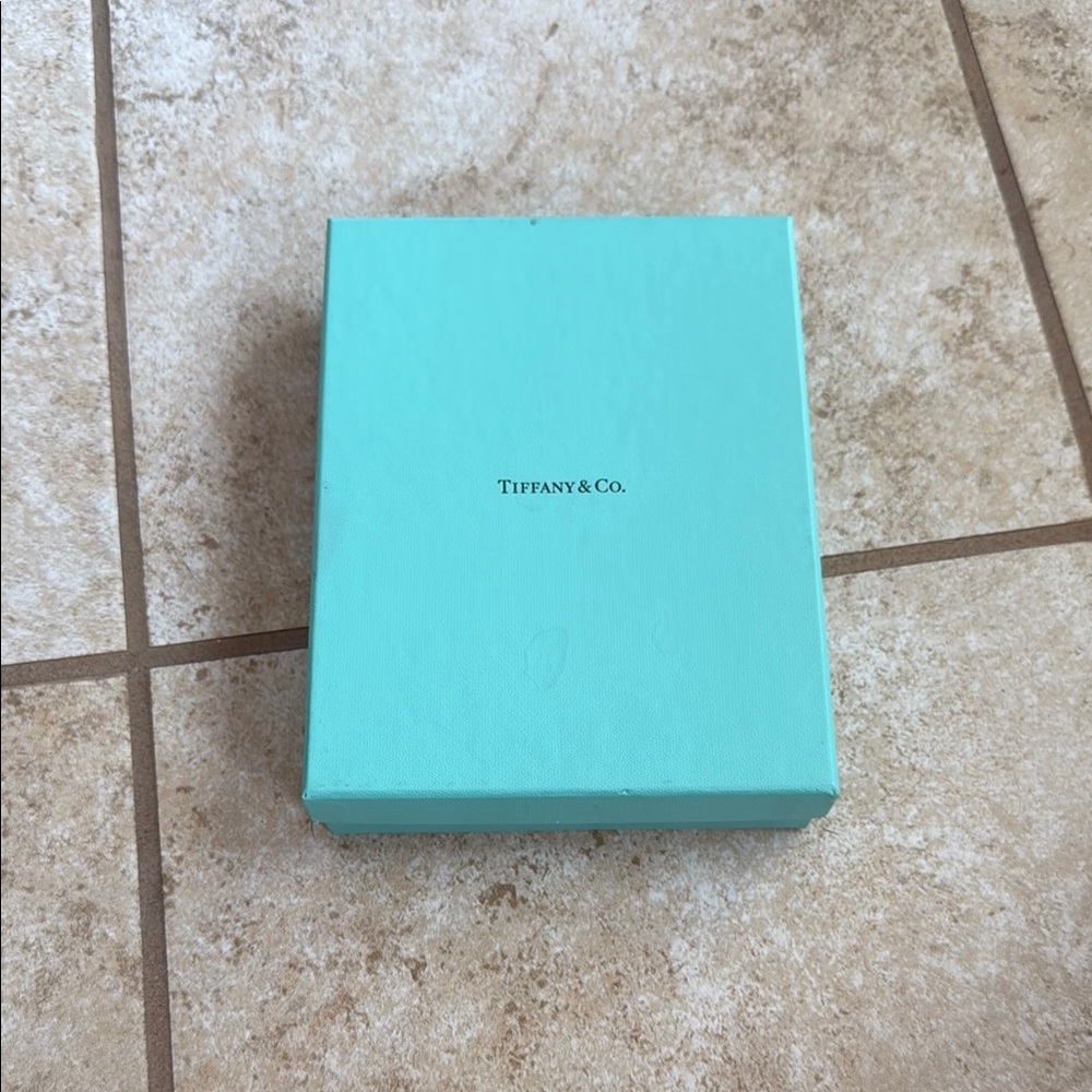 Tiffany & Co. Turquoise Box